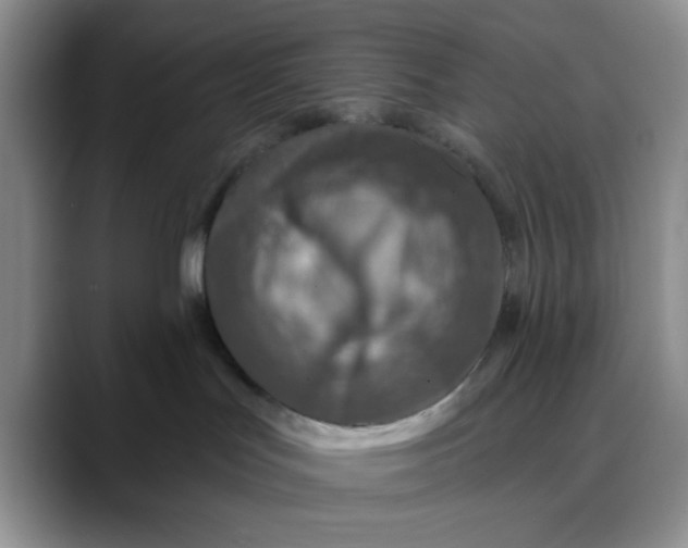 X0000088430047200706121458