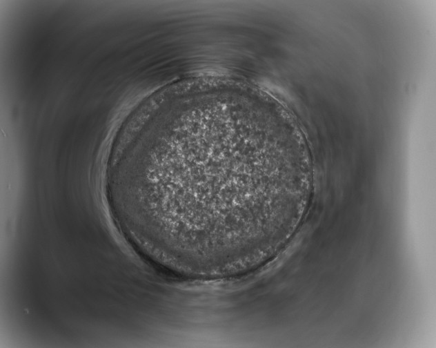 X0000088430049200706121458