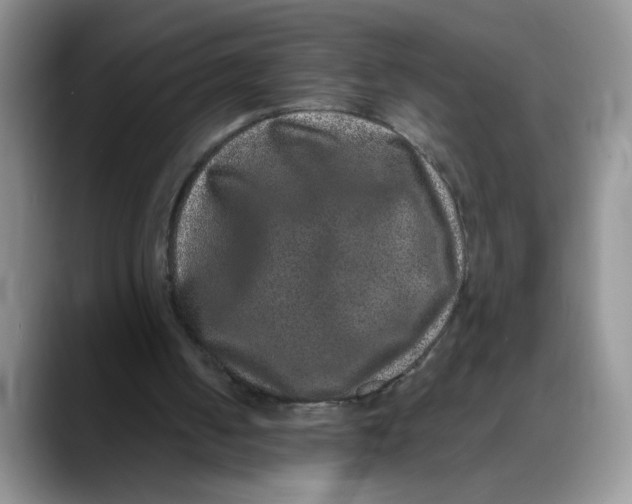 X0000088430050200706121458