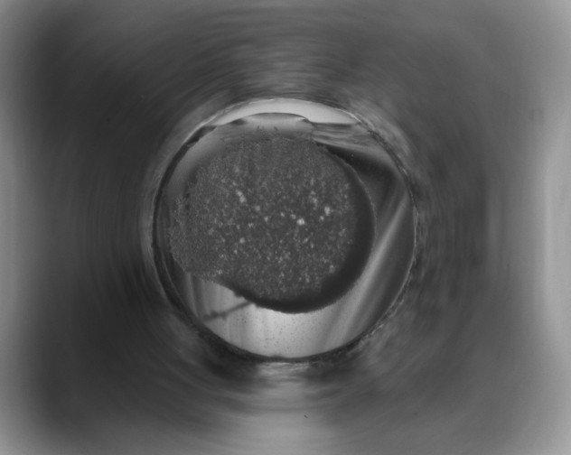 X0000088430051200706121458