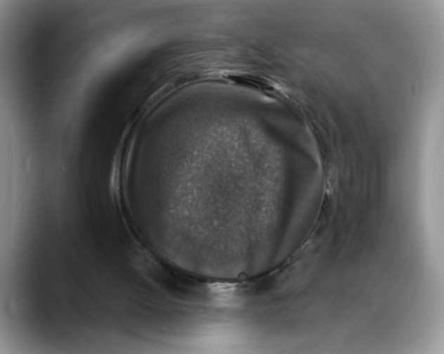 X0000088430052200706121458