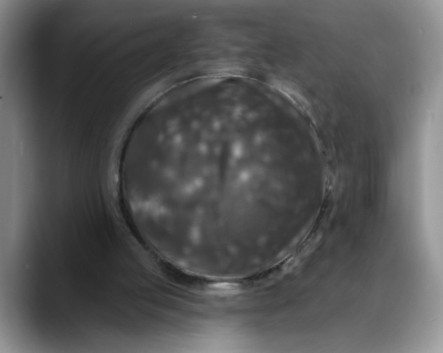 X0000088430053200706121458
