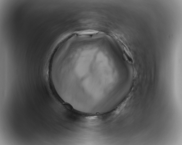X0000088430054200706121458