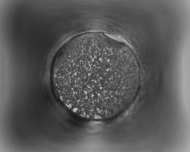 X0000088430055200706121458