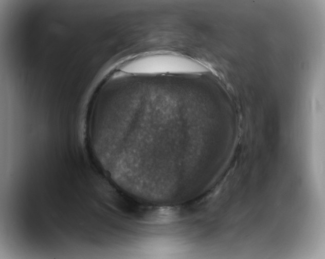 X0000088430056200706121458
