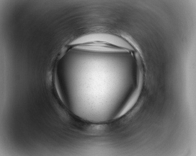 X0000088430057200706121458