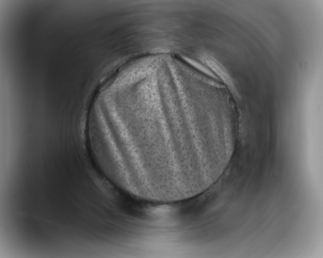 X0000088430058200706121458