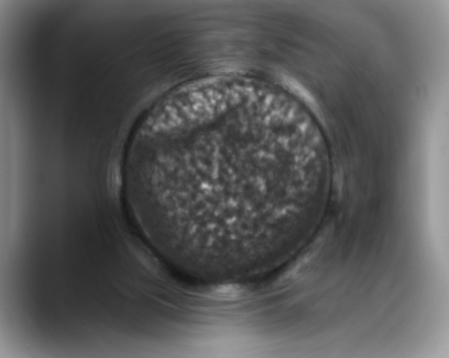 X0000088430059200706121458