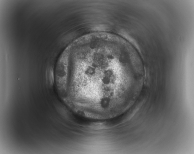 X0000088430061200706121458