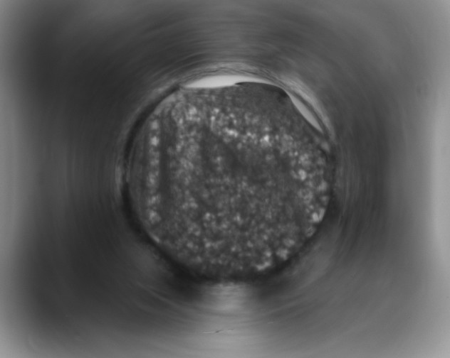 X0000088430063200706121458