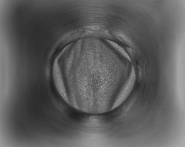 X0000088430064200706121458