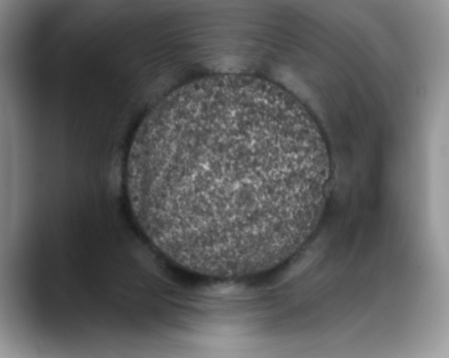 X0000088430065200706121458