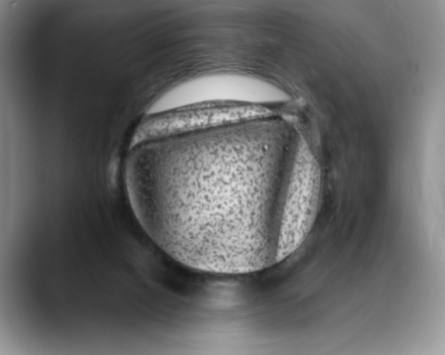 X0000088430066200706121458