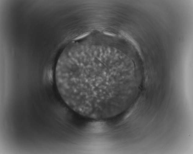 X0000088430067200706121458