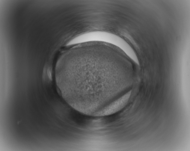 X0000088430068200706121458