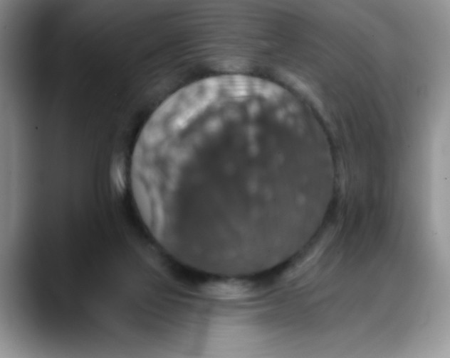 X0000088430069200706121458