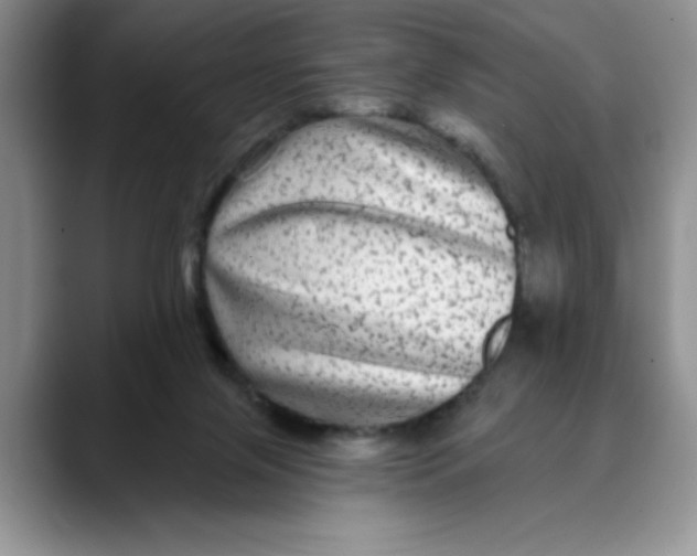 X0000088430071200706121458