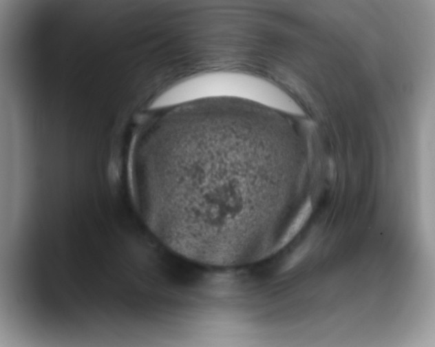 X0000088430072200706121458