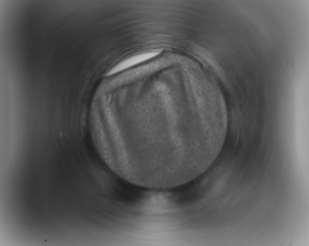 X0000088430073200706121458