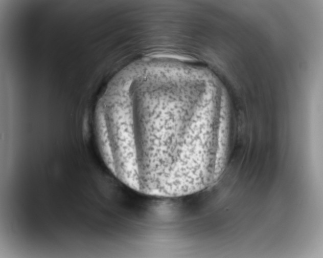 X0000088430074200706121458