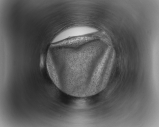 X0000088430075200706121458