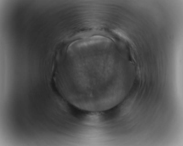X0000088430076200706121458