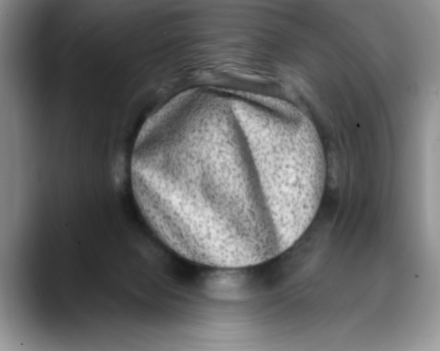 X0000088430077200706121458