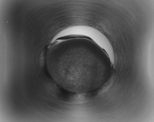 X0000088430080200706121458
