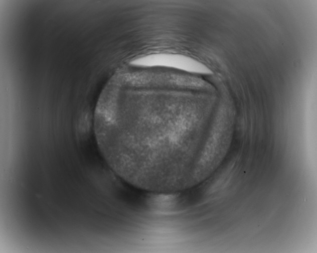 X0000088430081200706121458