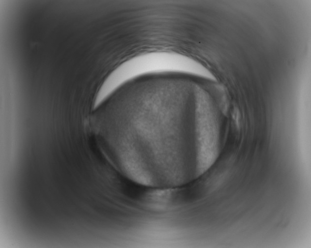 X0000088430084200706121458
