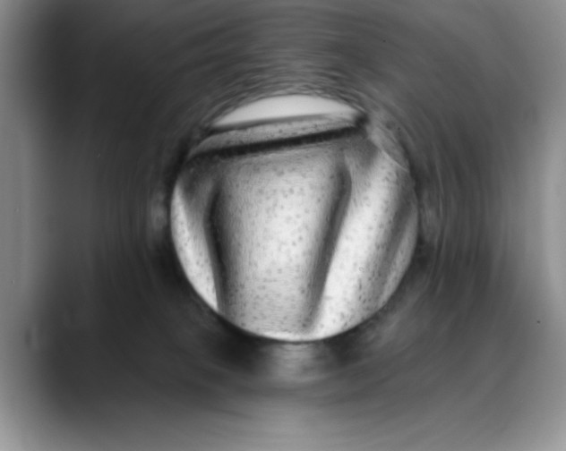 X0000088430085200706121458