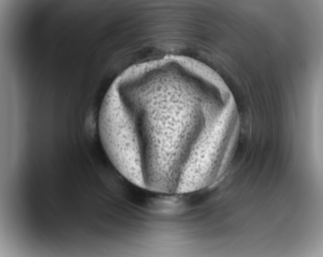 X0000088430086200706121458
