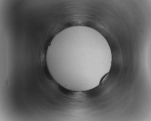X0000088430087200706121458