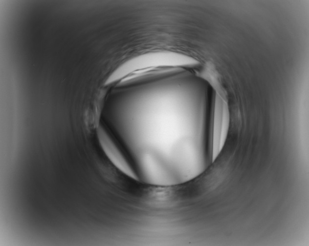 X0000088430088200706121458