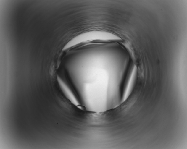 X0000088430092200706121458