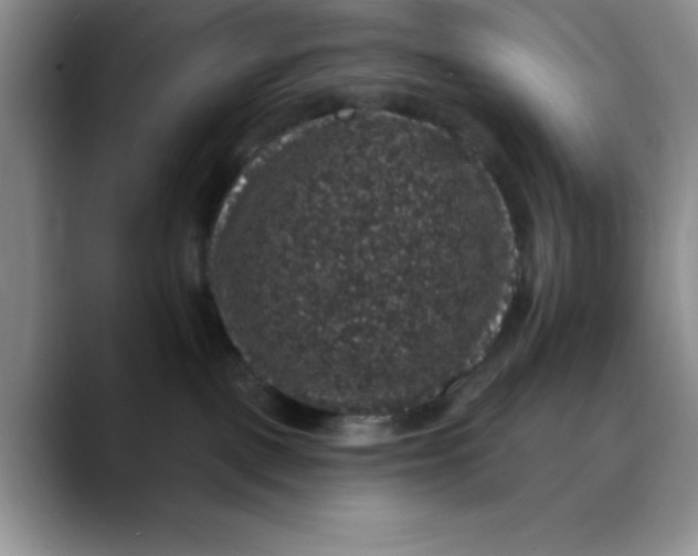 X0000088430093200706121458