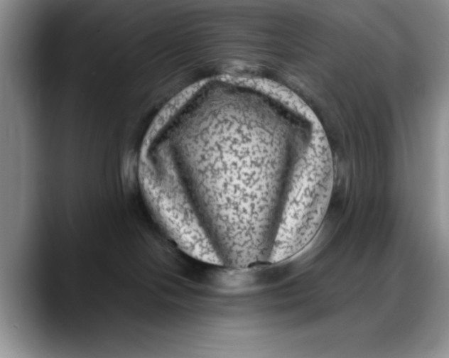 X0000088430094200706121458