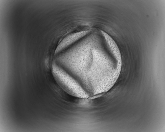 X0000088430096200706121458