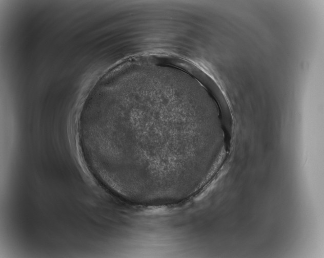 X0000088430097200706121458