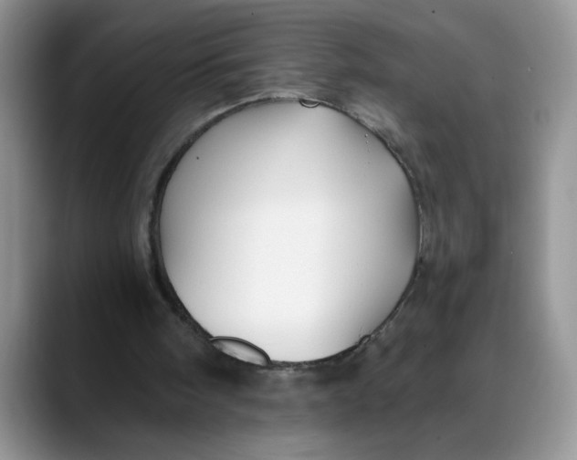 X0000088430098200706121458