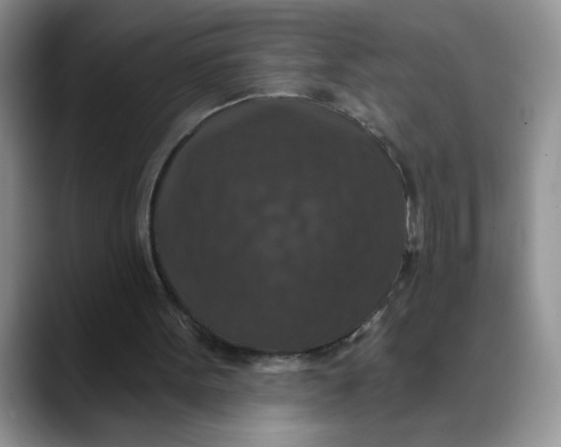 X0000088430099200706121458