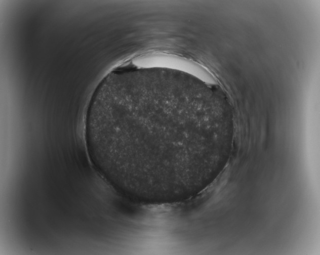 X0000088430100200706121458