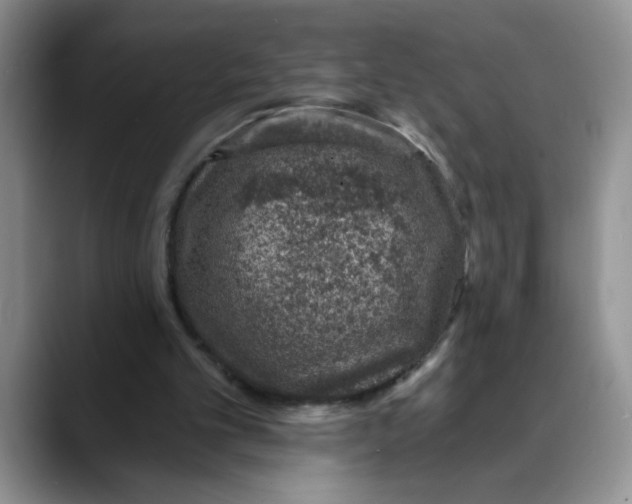 X0000088430101200706121458