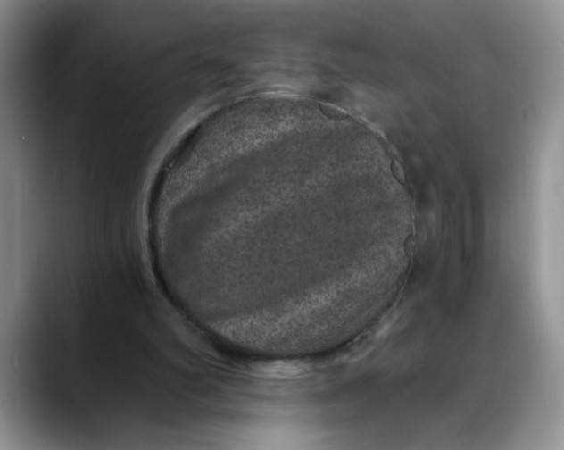 X0000088430102200706121458