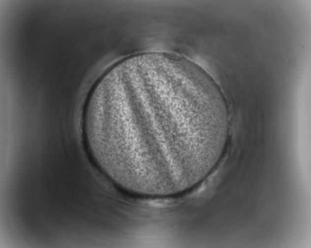 X0000088430103200706121458