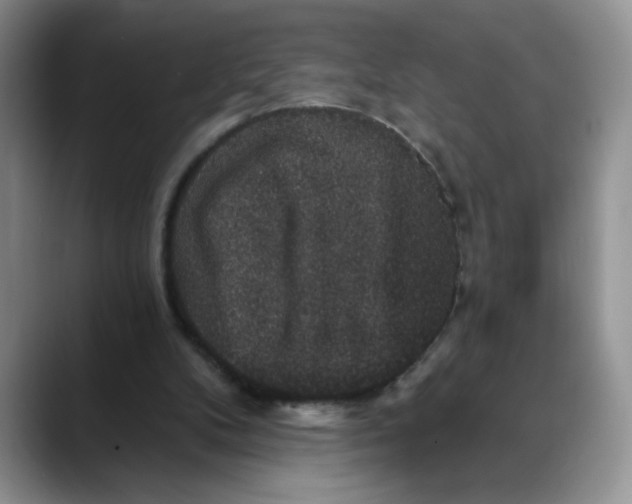 X0000088430104200706121458
