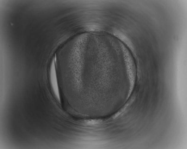 X0000088430105200706121458
