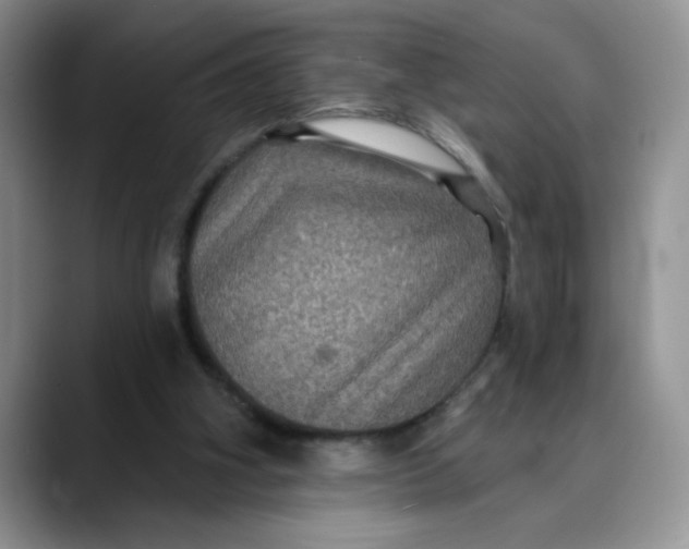 X0000088430106200706121458