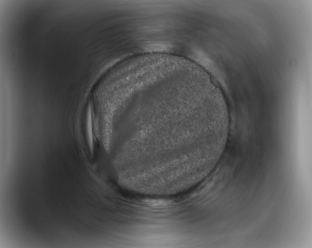 X0000088430107200706121458