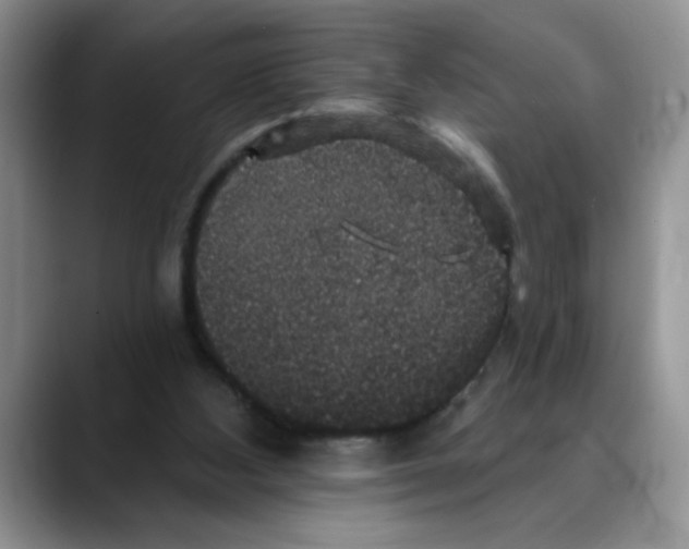 X0000088430108200706121458
